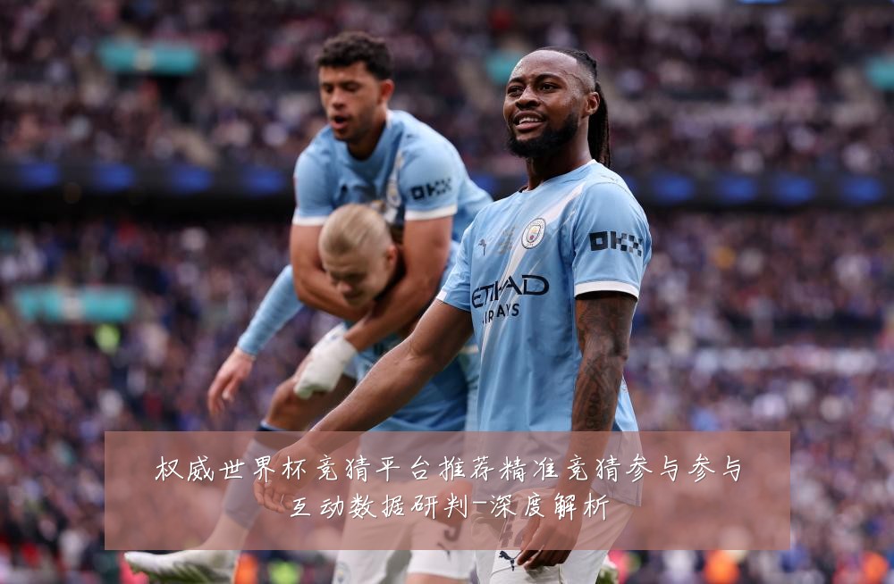 权威世界杯竞猜平台推荐精准竞猜参与参与互动数据研判-深度解析