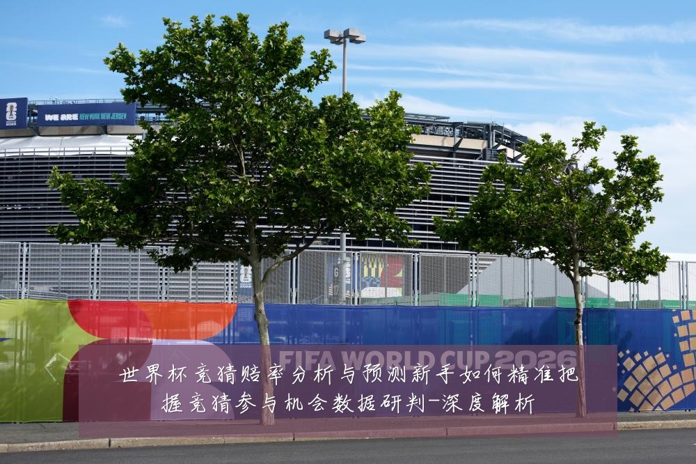 世界杯竞猜赔率分析与预测新手如何精准把握竞猜参与机会数据研判-深度解析